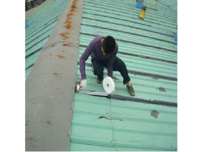 瓦面大面积接缝补漏 (5)